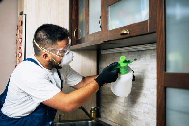Best Spider Control Near Me  in Rosemead, CA