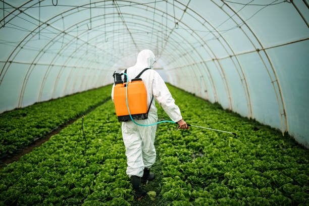 Best Ant Control Services  in Rosemead, CA