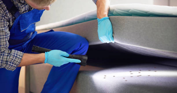 Best Termite Control Services  in Rosemead, CA